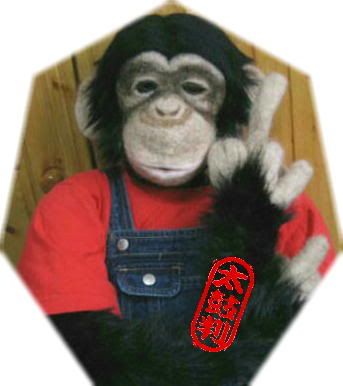 200504069ab4b8b8.jpg