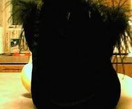 Image hosting by Photobucket