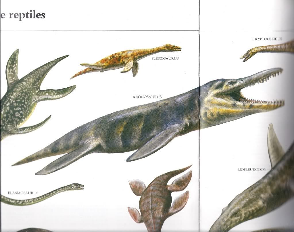 Elasmosaurus Plesiosaurus Liopluerodon Dinosaur Kin Safari Marine Reptile