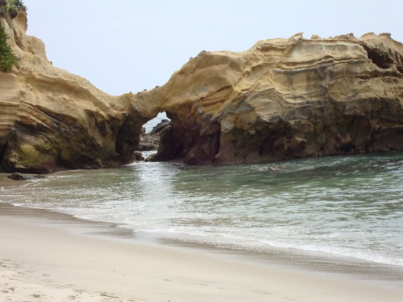 DSC00128.jpg
