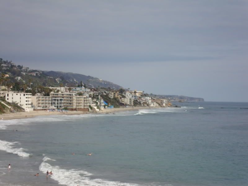DSC00486.jpg