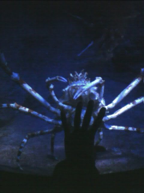 bigass crab.