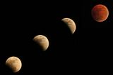 eclipse_2.jpg image by RunsTheBitterroot