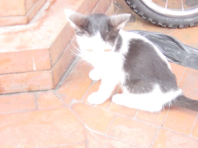 Image hosted by Photobucket.com