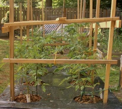  photo may21-14011.jpg