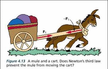 Action Reaction Pairs