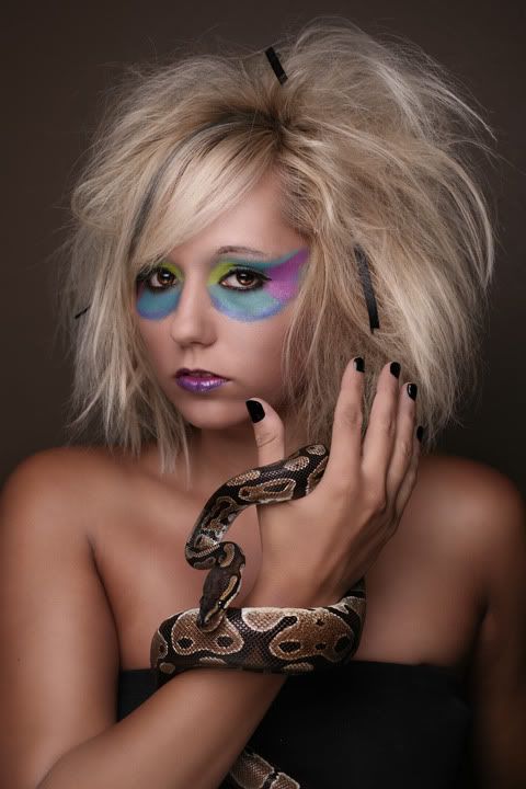 Models And Snakes