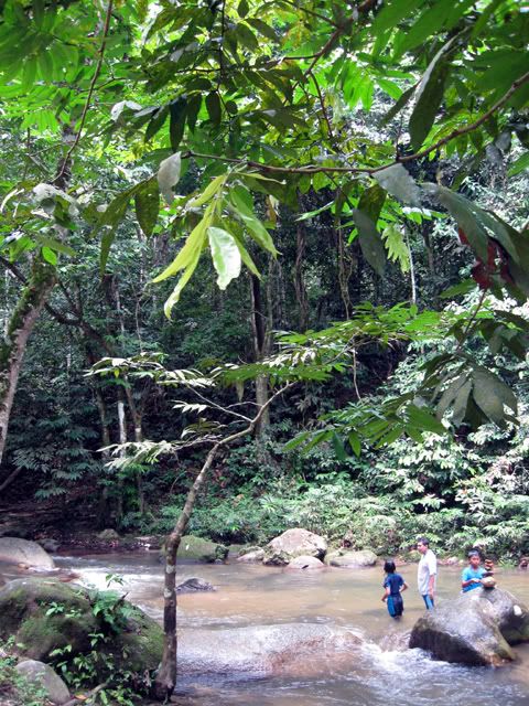 wallpaper pemandangan air terjun. gambar dlm air…huuu…teruja jap