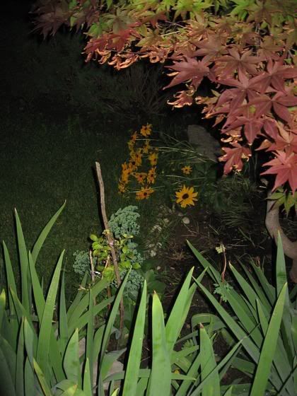 http://i6.photobucket.com/albums/y203/pc20001089/6d6cb11d.jpg