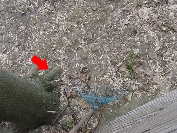 http://i6.photobucket.com/albums/y203/pc20001089/IMG_6678.jpg