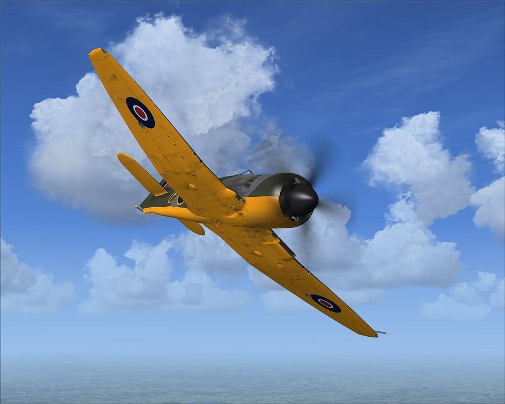 fssf-4.jpg