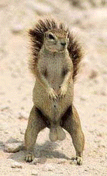 Image hosting by Photobucket