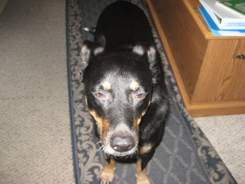 Picture035.jpg