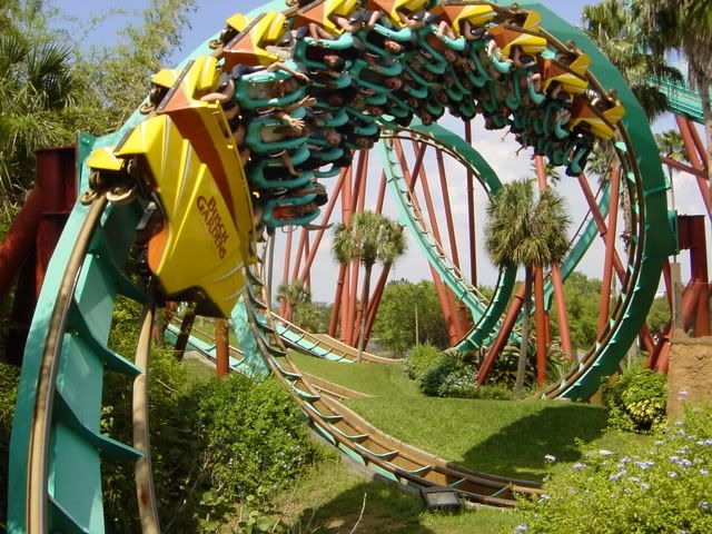 roller coaster roller coaster