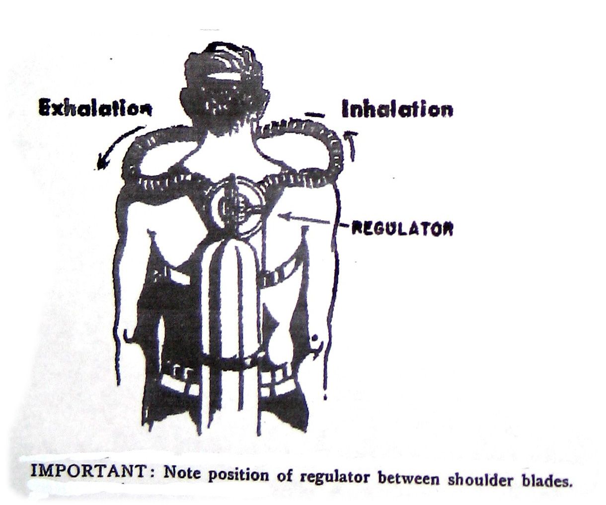 regpoisition-3.jpg