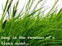 Friendster blog