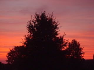 sunset 9-2008