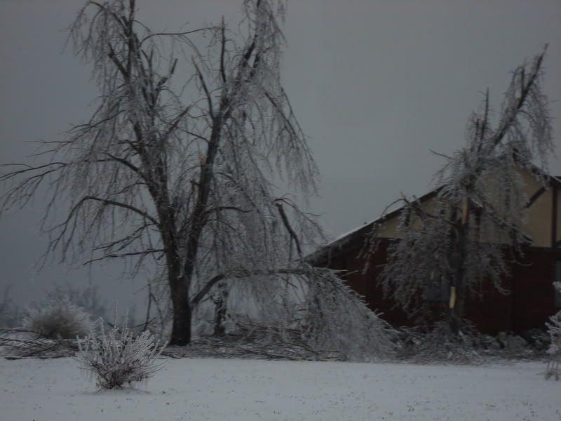 winter storm 09