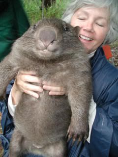 Big Capybara