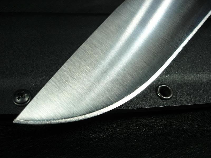 [Linked Image from i6.photobucket.com]