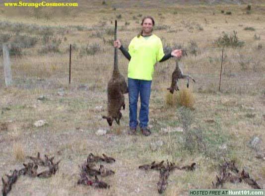 [Linked Image from i6.photobucket.com]