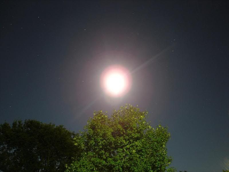 [Linked Image from i6.photobucket.com]