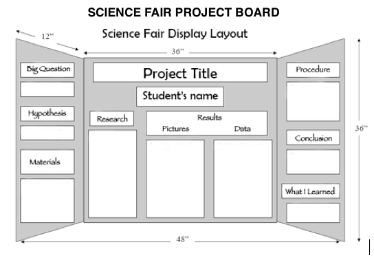 Science fair board layout