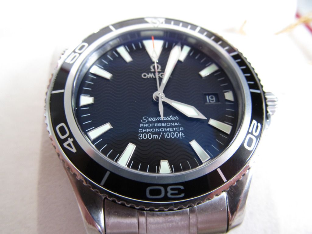 2230504.jpg
