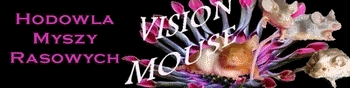 vision mouse