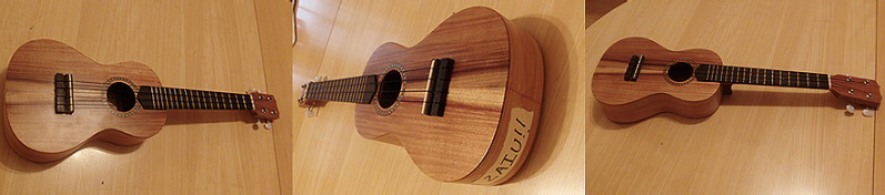 ukuleleac.png