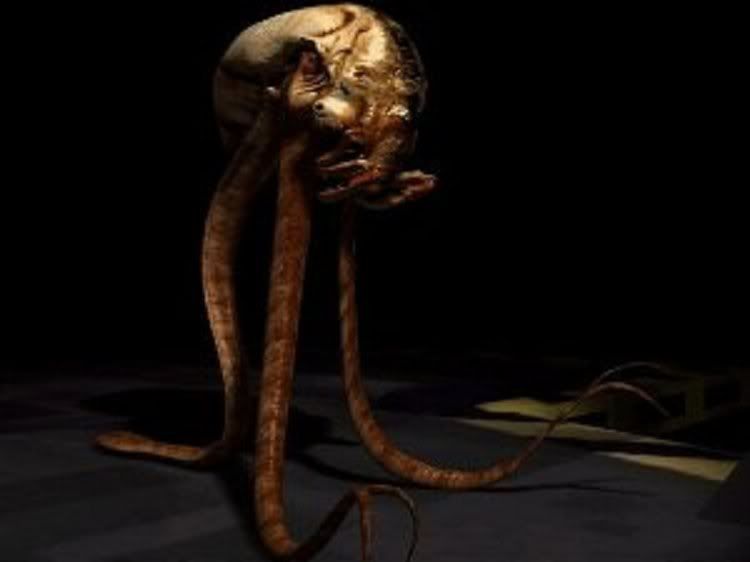 NakaleenFeeder.jpg
