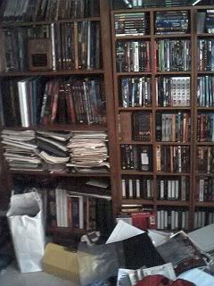 dvdshelves.jpg