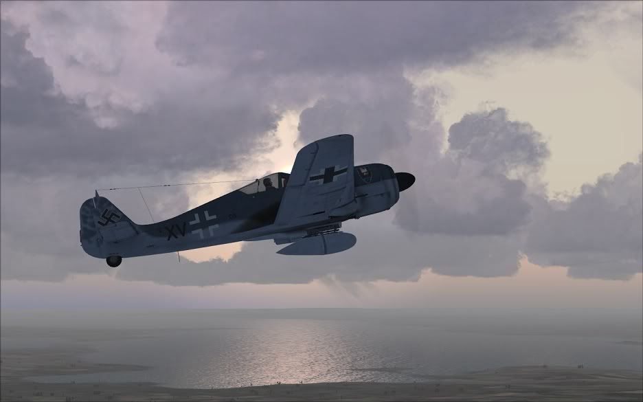 Mossie_hunter_a1a.jpg