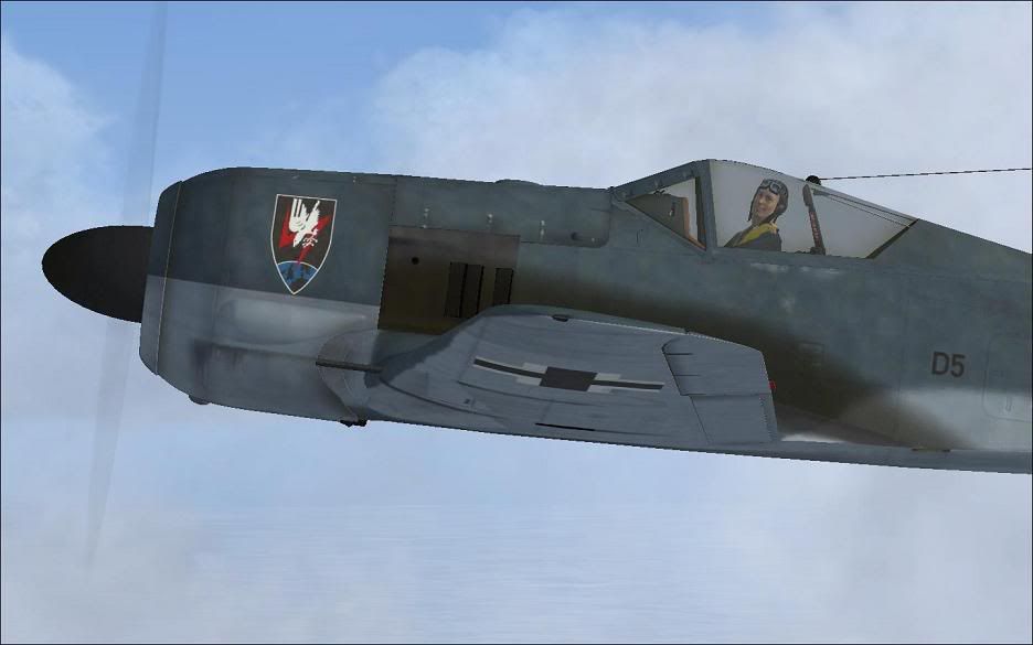 NJG3_8.jpg