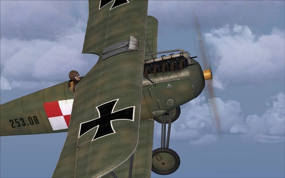 Oef_albatros_a2.jpg