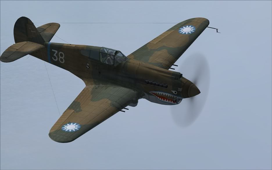 P40_2.jpg