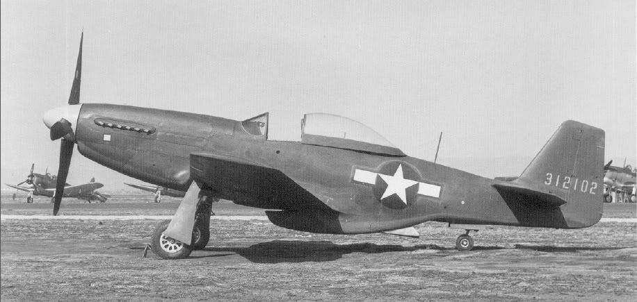 P51_312102.jpg