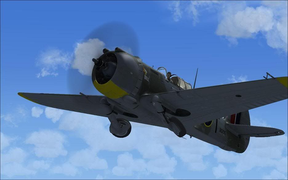 RAF_JK_P36.jpg