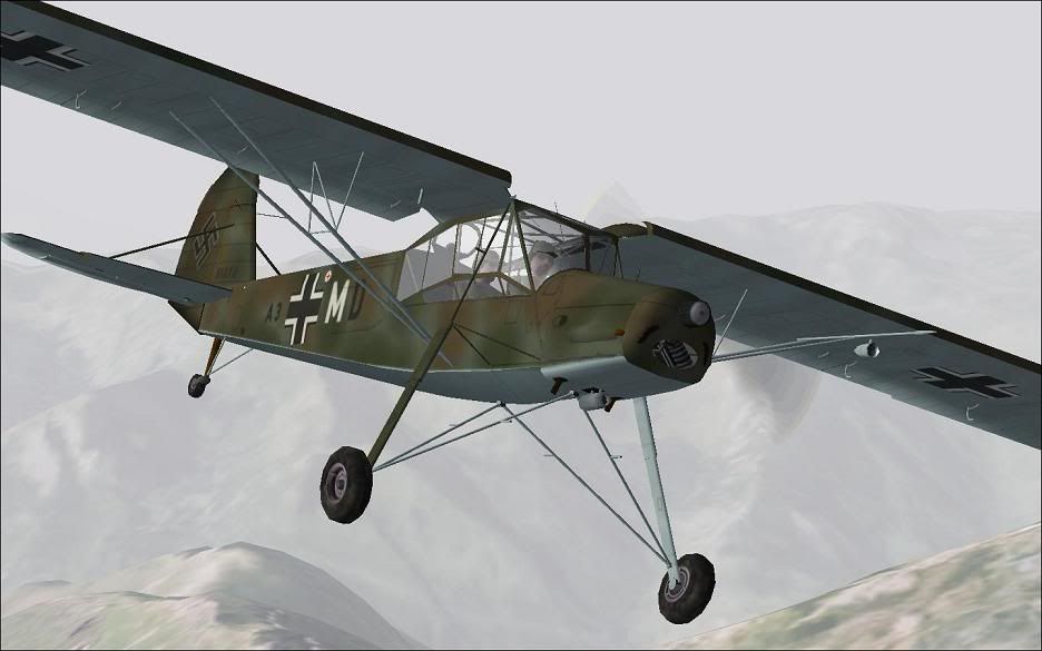 storch_2.jpg