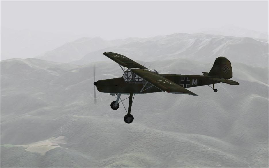 storch_3.jpg