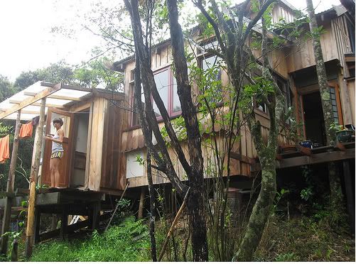 Real Sustainability – A House in the Woods