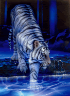 white-tiger-small.gif