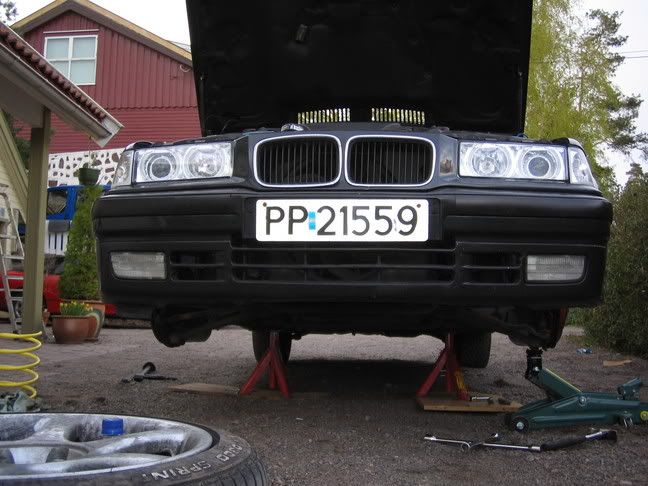 bimmer011.jpg