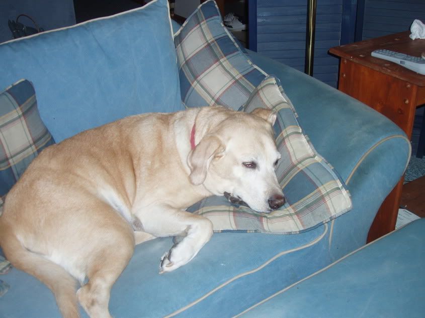 Image hosted by Photobucket.com