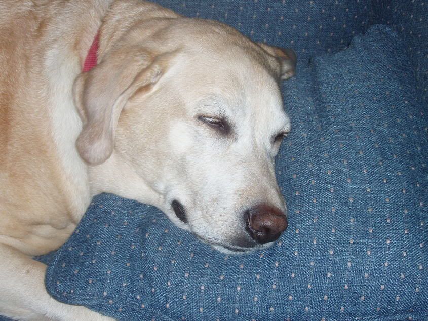 Image hosted by Photobucket.com