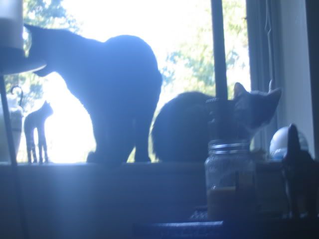 Picture039.jpg
