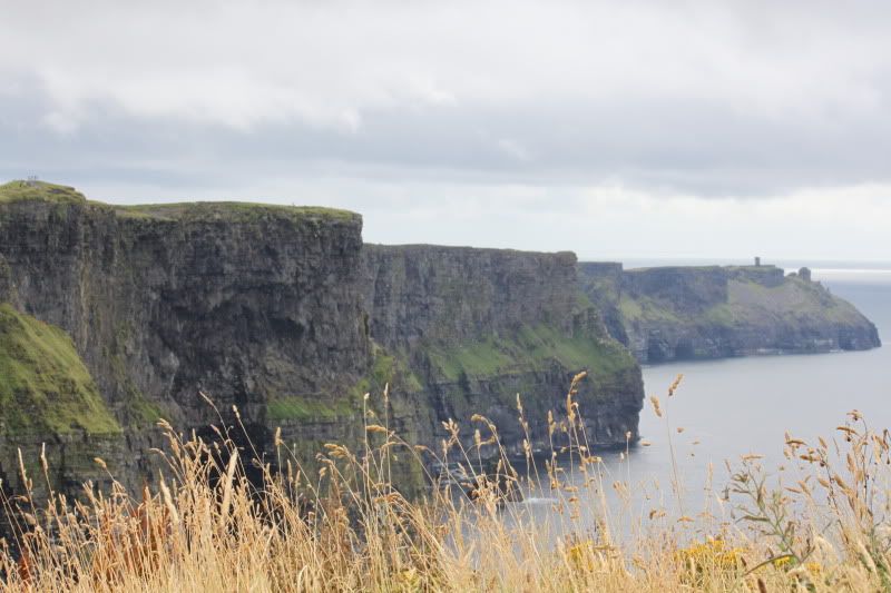 IMAGE: http://i6.photobucket.com/albums/y212/dwaine/1189.jpg