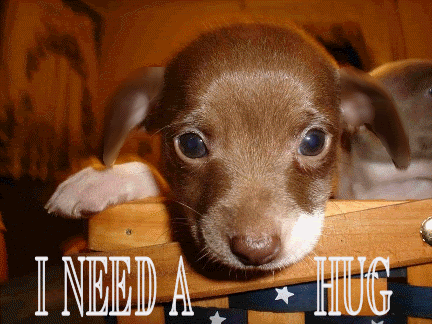 Puppy Hug Pictures, Images and Photos