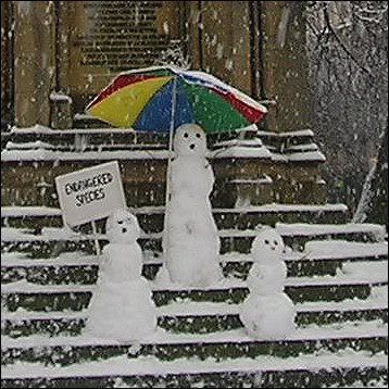 Snowmen Pictures, Images and Photos