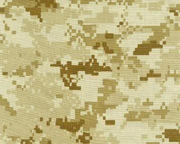 camouflage3.jpg